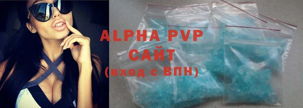 хмурый Дмитриев