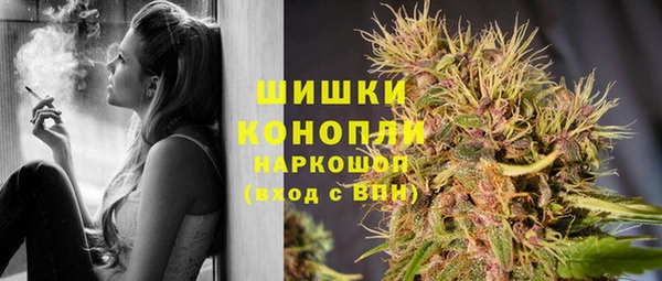 хмурый Дмитриев