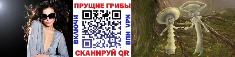 Купить  Кола  Псилоцибиновые грибы ЛСД 